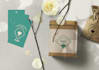 develop for you a powerfull visual identity