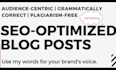 write an SEO optimized blog or article for your website