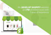professional shopify website creation for your dream store