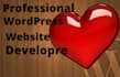 fix your word press website issue
