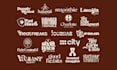 design a premium logo and brand mark for your business