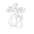 make hand drawn illustrations