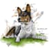 draw your animals and pets in my scribble art style