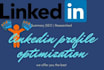 do linkedin optimization and write profile summary