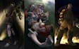 create a horror or fantasy character art