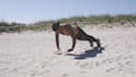 shoot and edit your fitness video in miami beach