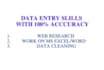 do fastest data entry in one day and web reasearch