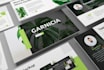 expert presentation powerpoint design, canva, and powerpoint redesign