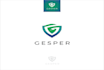 design modern environmental logo with express delivery