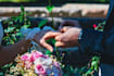 edit your wedding photos