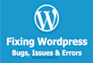fix any wordpress website issue
