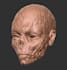 sculpt a bjd, ball joint doll, for 3d printing