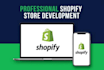 setup premium dropshipping online store