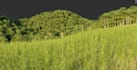 do your 3d environment