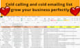build cold calling and cold emailing b2b list grow your business perfectly