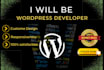 be wordpress developer do wordpress customization and wordpress plugin