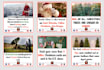 create instagram posts, social media posts