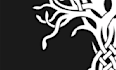 design a celtic style knotted logo or wordmark with an irish aesthetic