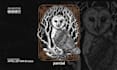 draw a detailed gothic line art and dark illustration