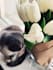 retouch and edit instagram photos with quick delivery