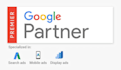 setup google PPC ads campaign and do face to face review