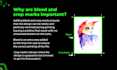 fix bleed and crop marks and print file issues