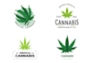 do creative cbd oil cannabis hemp weed marijuana logo