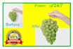 background remove and retouch photo editing