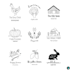 create signature and hand drawn logo design