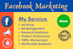 run facebook ads campaign and promote