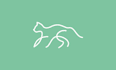 design simple animal one line art logo