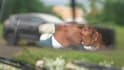 do cinematic  wedding video editing professionally