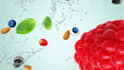 create food delivery promo video