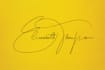 design luxury handwritten, scripted signature logo
