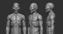 create 3d models for nft, ar, VR