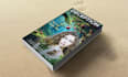 do book,ebook and kindle cover design