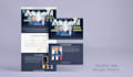 build a wordpress ecommerce website, online store, woocommerce website