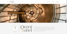 help you build a brand enhancing website