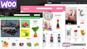 design and develop woocommerce website by martfury theme with elementor pro