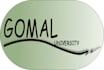 professional logo design premium quality