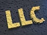 file your llc online and manage name checks and state compliance