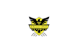design outstanding security logo with express delivery