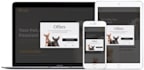 create a simple or advanced website