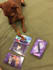 do tarot pet reading