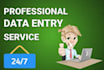 do data entry, data input, search data and data collection