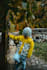 do professional photo editing with adobe lightroom