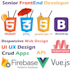 do shopify or wordpress theme customization frontend bug fix