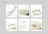 design your flyers, social media graphics and marketing materials