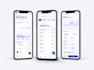 build website, premium web and mobile apps