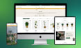 build a professional shopify store